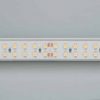 Лента RTW 2-5000P 24V White6000 2×2 (3528, 1200 LED, LUX) (ARL, 19.2 Вт/м, IP66)