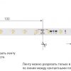 Лента RT-20000 24V White6000 (3528, 60 LED/m, 20m) (ARL, 4.8 Вт/м, IP20)