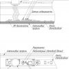 ИК-выключатель SR-IRIS-IRH (12-24V, 1x5A, 40x11mm) (ARL, Открытый)