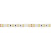 Лента RTW 2-5000SE 24V Cool 2x (5060, 300 LED, LUX) (ARL, 14.4 Вт/м, IP65)