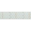 Лента RT 2-2500 24V Cool 8K 5×2 (2835, 875 LED, LUX) (ARL, 36 Вт/м, IP20)