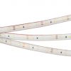 Лента RTW 2-5000PS 12V Day4000 (3528, 300 LED, LUX) (ARL, 4.8 Вт/м, IP67)