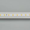 Лента RT 2-5000-50m 24V White6000 (2835, 80 LED/m, LUX) (ARL, 6 Вт/м, IP20)