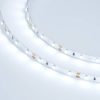 Лента RT 2-5000 12V Cool 8K (3528, 300 LED, LUX) (ARL, 4.8 Вт/м, IP20)