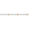 Лента MICROLED-5000HP 24V Warm2700 8mm (2216, 120 LED/m, LUX) (ARL, 14 Вт/м, IP20)