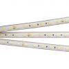 Лента RTW 2-5000PS 24V White6000 2x (5060, 300 LED, LUX) (ARL, 14.4 Вт/м, IP67)
