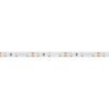 Лента RT 2-5000 12V Cool 8K (3528, 300 LED, LUX) (ARL, 4.8 Вт/м, IP20)