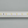 Лента RT 2-5000 24V White6000 (3528, 300 LED, LUX) (ARL, 4.8 Вт/м, IP20)