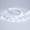 Лента RT 2-5000 24V Cool 8K 0.5x (3528, 150 LED, LUX) (ARL, 2.9 Вт/м, IP20)