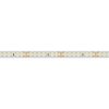 Лента RTW 2-5000PS 24V White6000 2x (2835, 160 LED/m, LUX) (ARL, 12 Вт/м, IP67)