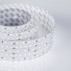 Лента S2-2500 24V White 6000K 52mm (2835, 420 LED/m, LUX) (ARL, 30 Вт/м, IP20)