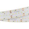 Лента S2-2500 24V Warm 2700K 34mm (2835, 280 LED/m, LUX) (ARL, 25 Вт/м, IP20)