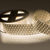 Лента RT 2-2500 24V White6000 5×2 (2835, 875 LED, LUX) (ARL, 36 Вт/м, IP20)