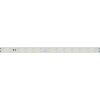 Лента RT-50000 48V Day4000 (3528, 78 LED/m, 50m) (ARL, 4 Вт/м, IP20)