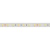 Лента RTW 2-5000P 24V White6000 2x (5060, 300 LED, LUX) (ARL, 14.4 Вт/м, IP66)