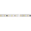 Лента ARL-50000PV-230V Cool 10K (5060, 54 LED/m, WP2) (ARL, 8 Вт/м, IP65)