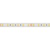 Лента RTW 2-5000PS 24V White6000 2x (5060, 300 LED, LUX) (ARL, 14.4 Вт/м, IP67)