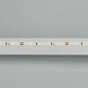 Лента MICROLED-5000L 24V Warm2700 4mm (2216, 120 LED/m, LUX) (ARL, 5.4 Вт/м, IP20)