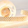 Лента RT 2-2500 24V White6000 4×2 (2835, 700 LED, LUX) (ARL, 30 Вт/м, IP20)