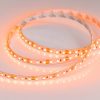 Лента RT 2-5000 12V Orange 2X (3528, 600 LED, LUX) (ARL, 9.6 Вт/м, IP20)