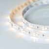 Лента RT 2-5000 24V White-TRIX 2x (3528, 450 LED, LUX) (ARL, 7.6 Вт/м, IP20)