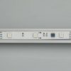 Лента SPI-5000P-5060-30 12V Cx3 RGB-Auto (12mm, 6.5W/m, IP66) (ARL, Закрытый, IP66)