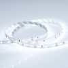 Лента RT 2-5000 12V Cool 8K (3528, 300 LED, LUX) (ARL, 4.8 Вт/м, IP20)