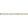 Лента RTW 2-5000PGS 24V White 2x (5060, 300 LED, LUX) (ARL, 14.4 Вт/м, IP67)