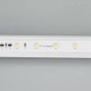 Лента RT-20000 24V White5500 (3528, 60 LED/m, 20m) (ARL, 4.8 Вт/м, IP20)