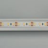 Лента RTW 2-5000PGS 12V Warm 2x (3528, 600 LED, LUX) (ARL, 9.6 Вт/м, IP67)