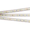 Лента RTW 2-5000PS 24V White6000 2x (5060, 300 LED, LUX) (ARL, 14.4 Вт/м, IP67)