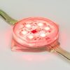 Флэш-модуль ARL-PRO-D50-6LED RGB 12V Прозрачный (ARL, Закрытый)
