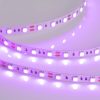 Лента RT 2-5000 12V Pink 2X (5060, 300 LED, LUX) (ARL, 14.4 Вт/м, IP20)