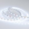 Лента RT 2-5000 12V Cool 8K 2x (5060, 300 LED, LUX) (ARL, 14.4 Вт/м, IP20)