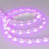 Лента RZ 2-5000 12V Pink 2x (5060, 240 LED, Wave) (ARL, 11.5 Вт/м, IP20)