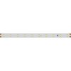 Лента IC 2-30000 24V Cool 8K 10mm (2835, 60 LED/m, LUX) (ARL, 4.6 Вт/м, IP20)