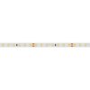 Лента RT 2-5000 24V White6000 1.6x (2835, 490 LED, PRO) (ARL, 10 Вт/м, IP20)