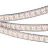 Лента SPI-5000P-RAM-5060-100 12V Cx1 RGB-Auto (12mm, 14.4W/m, IP66)) (ARL, Закрытый, IP66)