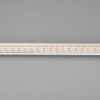 Лента SPI-5000P-RAM-5060-100 12V Cx1 RGB-Auto (12mm, 14.4W/m, IP66)) (ARL, Закрытый, IP66)