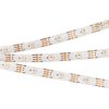 Лента SPI-5000SE-RAM-5060-30 12V Cx1 RGB-Auto (10mm, 4.8W/m, IP65) (ARL, Закрытый, IP65)