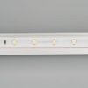 Лента RTW 2-5000PS-50m 24V Day4000 (3528, 60 LED/m, LUX) (ARL, 4.8 Вт/м, IP67)