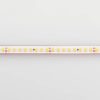 Лента RTW 2-5000PS 24V Warm2700 2x (2835, 160 LED/m, LUX) (ARL, 12 Вт/м, IP67)