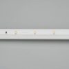 Лента RT 2-5000 24V Day4000 0.5x (3528, 150 LED, LUX) (ARL, 2.9 Вт/м, IP20)