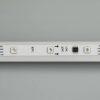 Лента SPI-5000-AM 12V RGB (5060, 150 LED x3, 1804) (ARL, Открытый, IP20)