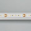 Лента MICROLED-5000 24V White-CDW 8mm (2216, 240 LED/m, Bipolar) (ARL, 9.6 Вт/м, IP20)