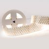 Лента RT 2-2500 24V Warm3000 5×2 (2835, 875 LED, LUX) (ARL, 36 Вт/м, IP20)