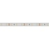 Лента RTW 2-5000PGS 12V White (3528, 300 LED, LUX) (ARL, 4.8 Вт/м, IP66)