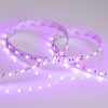 Лента RT 2-5000 12V Pink 2X (5060, 300 LED, LUX) (ARL, 14.4 Вт/м, IP20)