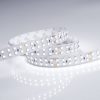 Лента RT 2-5000 24V White6000 2×2 (3528, 1200 LED, LUX) (ARL, 19.2 Вт/м, IP20)